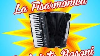 Luisito Bosoni  Montagne russe polka fisaaccordion music [upl. by Llerruj609]