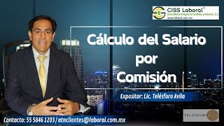 Salario base para comisionistas [upl. by Esme927]