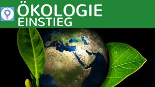 BIOLOGIE NACHHILFE  Ökologie amp Umwelt  die neue Serie  Ökologie [upl. by Crooks]