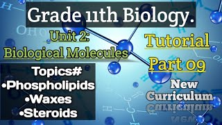 Phospholipids Waxes Steroids Class 11Biology Unit2 Biological Molecules Part9 [upl. by Eiramlehcar259]