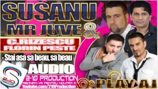 Florin Peste Cristian Rizescu Si Play AJ  Stai asa sa beau sa beau [upl. by Weirick]