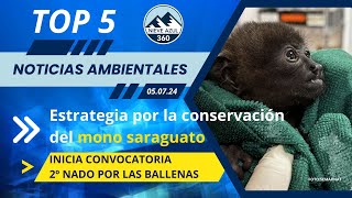 Top5 Noticias ambientales Mono saraguato Nado por las ballenas y más  Semana del 0105 de julio [upl. by Dareece797]