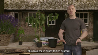 Le rempotage des plantes  Ep2 S2 avec CANNA [upl. by Cosma]