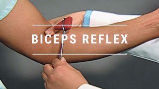 Biceps Deep Tendon Reflex Examination  AssessmentReflex Exam Normal Biceps Reflex Exam [upl. by Ydisac]