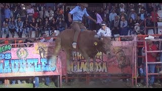 JARIPEO 2018 LOS TOROS DIVINOS En San Pedro Pareo Michoacan [upl. by Yehudit]