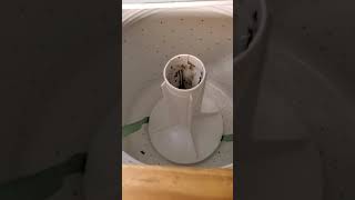 How to remove a stuck agitator in washing machine [upl. by Eisnil919]