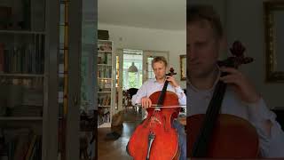 Michael JacksonSmooth Criminal cello II Ephraim van IJzerlooij cello [upl. by Cichocki]