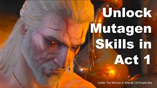 EUPHORIA at level 18 Unlock the Mutagen Tree in Act 1 of the WITCHER 3 low level witcher3 [upl. by Srednas957]