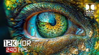 The Coolest 12K Video ULTRA HD 240 fps  Dolby Vision HDR 12K [upl. by Ladnar454]