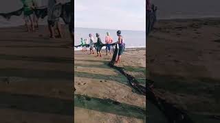 Bayanihan sa pangunguha ng isda sa dagatBadoc beach Ilocos Norte [upl. by Cresida]