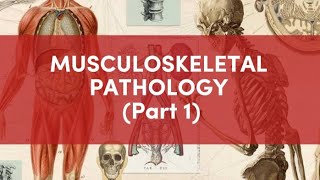 Basic structure and Function of Bones pathology robbins [upl. by Hsu]