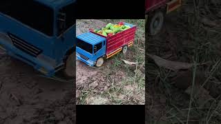 Hyundai truck rc action [upl. by Aelrac]