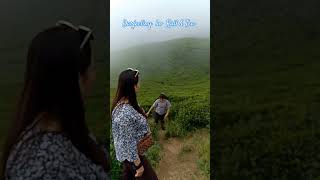 darjeeling ko railway amp tea garden depanewar shortvideos nature [upl. by Gavrah]