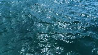 1 Minute of Beautiful Ocean Waves Relaxing Sea Ambience [upl. by Helse]