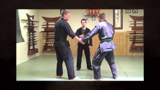 Ninjutsu Lesson Online  Touch Dont Grab  Ninja Training Video [upl. by Andrea15]