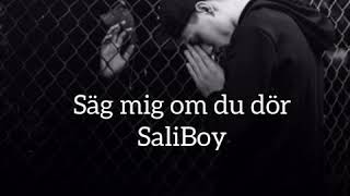 Saliboy  Säg mig om du dör  LYRICS [upl. by Tisha920]