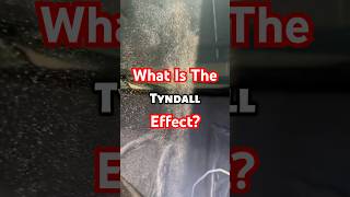 What is The Tyndall Effect 🤯 tyndalleffect interesting [upl. by Sillig]