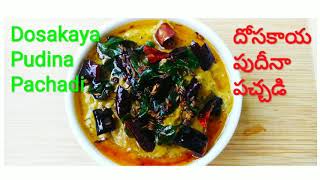 Dosakaya Pudina Pachadi recipe in telugu I Pudina Dosakaya Pachadi I Mint Chutney II Pudhina Pachadi [upl. by Chara]