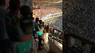 TORCIDA DO BOTAFOGO CALANDO A TORCIDA DO PALMEIRAS EM PLENO ALLIANZ PARQUE torcida botafogo [upl. by Ninnette548]