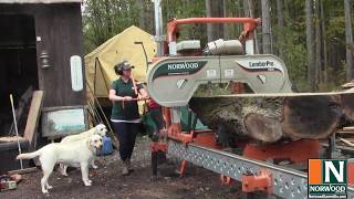 Making a Great Living with a Norwood HD36 Portable Sawmill  Meet Rose Forestry [upl. by Nicki]