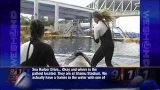 Officials Release 911 Calls In SeaWorld Attack [upl. by Sigismundo737]