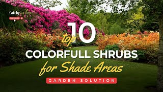 10 Shrubs That Will Add Color and Thrive in the Shade 🌸🌳🌷  Gardening Tips [upl. by Hulen]