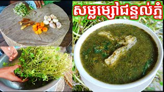 សម្លម្សៅជន្ទល់ភ្នំ ឬ ម្ជុលភ្នំ Marsilea Quadrifolia Soup [upl. by Atiuqehc342]