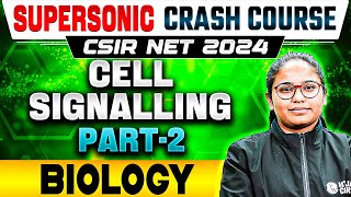 CSIR NET Life Science 2024  CSIR NET Cell Communication and Cell Signaling PYQ  Part 2 [upl. by Shawn]