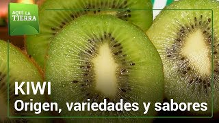 KIWI Origen variedades y sabores  Aquí la tierra [upl. by Dann253]