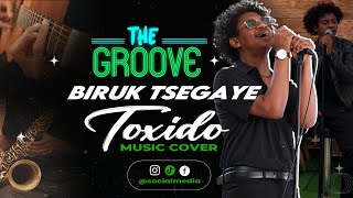 TOXIDOBiruk Tsegaye New Ethiopian cover Music 2024 [upl. by Darin]