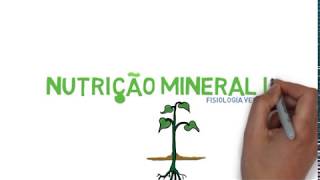 Nutrição mineral [upl. by Esertal773]