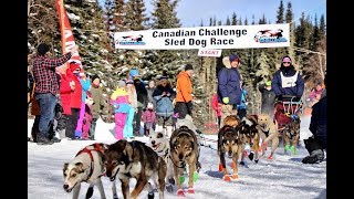 Canadian Challenge Sled Dog Race [upl. by Eymaj693]