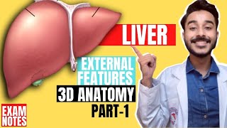 Liver Anatomy 3D  external feature of liver anatomy 3d  anatomy of liver external features anatomy [upl. by Packston]