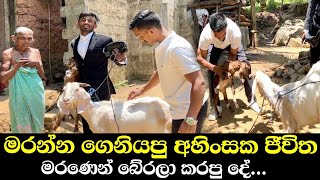 මරන්න ගෙනියපු ජීවත දෙකක් බේර ගත්තා මරන්න යන එළුවෝ මරණ බියෙන් කෑ ගහන හැටි  Ushan Vlogs [upl. by Moritz51]