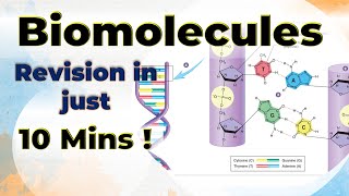 Biomolecules Complete Revision in 10 mins Chemistry Class 12 One shot video [upl. by Xeno]