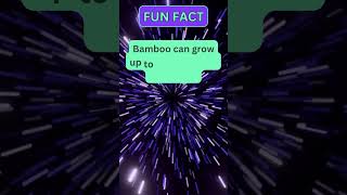 🤯 Did You Know This Fun Fact Prepare to Be Amazed 😲 98 [upl. by Dunson]