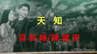 【歌詞】《解決師》主題曲《天知》 梁釗峰amp陳健安 [upl. by Rialc118]