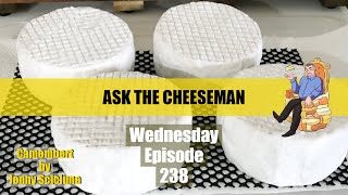 🔴 Ask the Cheeseman 238 [upl. by Holly-Anne]