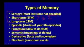 Types of Memory [upl. by Ititrefen]