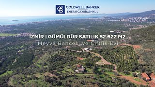 İzmir Gümüldür Satılık 52622 M2 Meyve Bahçesi ve Çiftlik Evi [upl. by Llednor]