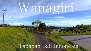 Driving in Wanagiri Tabanan Bali Indonesia [upl. by Obau]