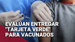 Coronavirus en Perú Evalúan entrega de “Tarjeta verde” a vacunados para acceder a servicios [upl. by Earle435]