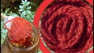 How to Dye with Common Bedstraw I Cleavers I Galium aparine ​⁠WildcraftDyeing [upl. by Magnien271]