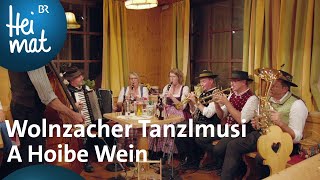 Wolnzacher Tanzlmusi  A Hoibe Wein  Zsammgspuit in der Holledau  BR Heimat [upl. by Birkner]