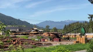 Lumber Prices 2021  Hampton Lumber Mill Washington State [upl. by Sonitnatsnoc]