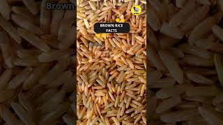 Brown Rice Facts shorts brownrice funfacts [upl. by Lebaron435]