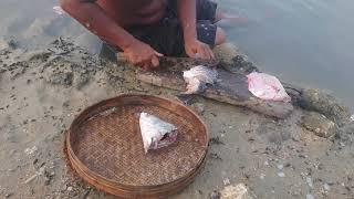 Hunting and Cooking White Snapper with Simple But Awesome Recipe  Primitive Technology [upl. by Rollin]