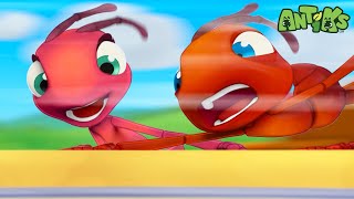 New ANTIKS Episode  Jammed  Funny Cartoons For CHILDREN [upl. by Durgy]