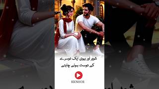 Shohr Aur Biwi Ek Dusre Ke Dost Hone Chahiye urduquotes urdupoetry shortsfeed urdu deepsline [upl. by Knutson]