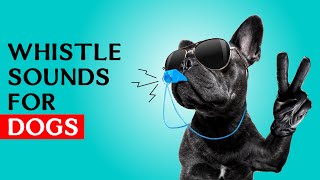 Whistle sounds for Dogs  Dog Whistle Sound to Call Your Dog [upl. by Junina]